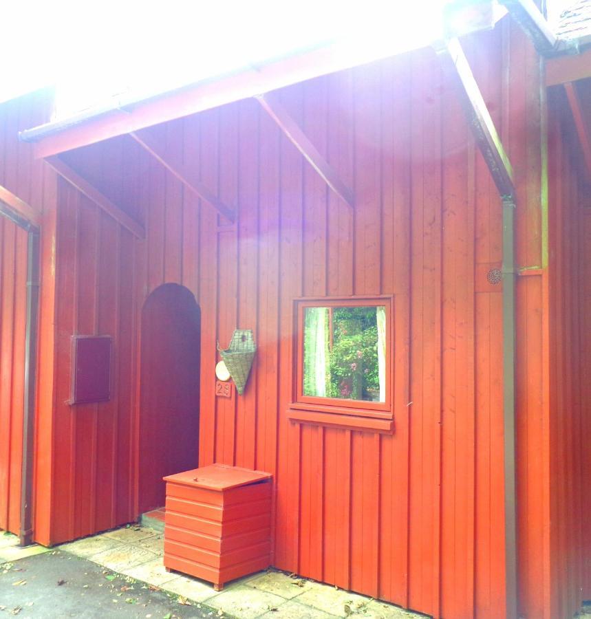 28 Yew Lodge Amroth Extérieur photo
